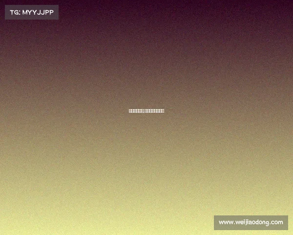 明日之星赛事;明日之星冠军是谁