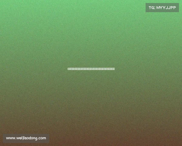 沈阳赛事承办新战略助力打造东北亚体育赛事中心推动经济文化双升级